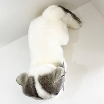 ⭐️新品⭐️ ブリティッシュショートヘア 青い猫のぬいぐるみ リアル Amazon.co.jp: ブリティッシュショートヘア 青い猫のぬいぐるみ